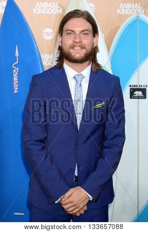 LOS ANGELES - JUN 8:  Jake Weary at the Animal Kingdom Premiere Screening at the The Rose Room on June 8, 2016 in Venice Beach, CA