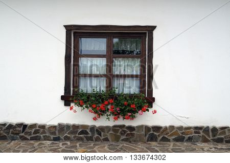Old wooden window with red flowers on a white background