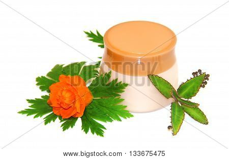 jar natural cream sprig set isolated on white background. Feminine beauty and cosmetics concept green branch of medical kolanhoe tropical succulent plant light liquid bright orange globe flower