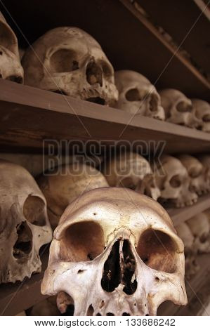 a lot of skulls in a cript