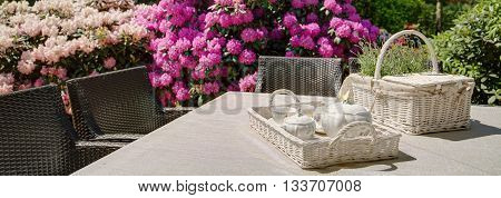 Teatime In The Garden