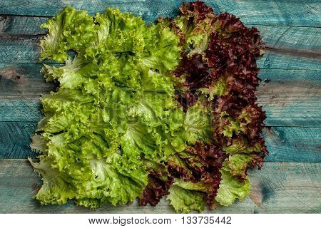 Fresh Salad Leaves