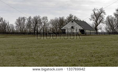 White barn with yearling horses in a pasture in background and blank foreground. 16 X 9 inch format