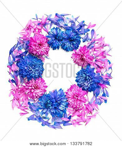 Chrysanthemum Flower On White Background