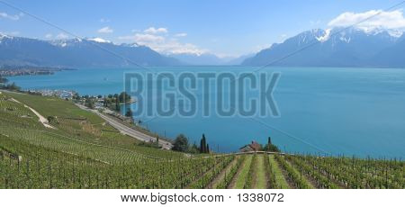 En dirección del Panorama de Suiza del lago Leman de Monte Pelerin