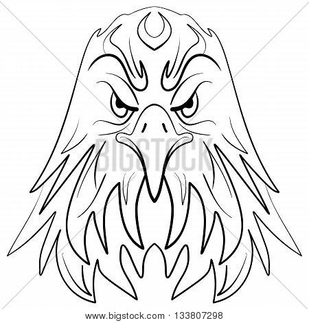Stylized eagle head emblem illustration Ink sketch eagle
