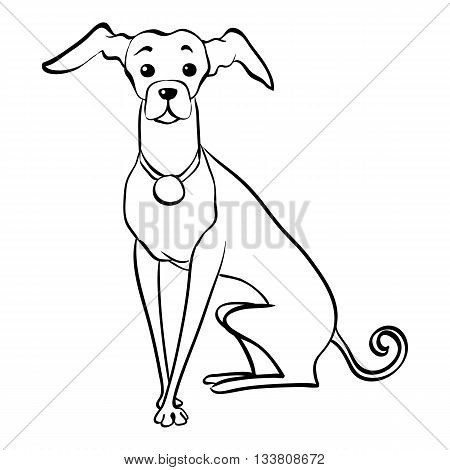 Sketch Funny dog Italian Greyhound breed sitting hand drawing vector