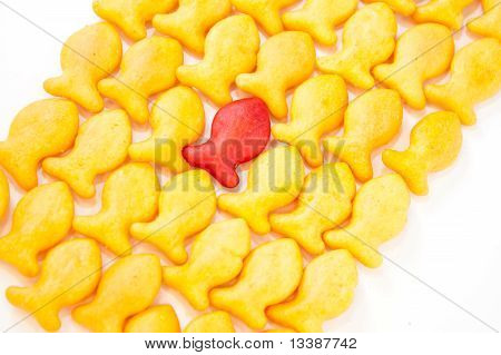 Pesce Crackers