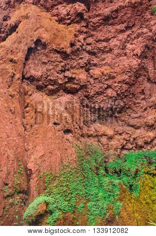 Rock in Morocco from red clay with plants growing on it. Nearl waterfall in Ouzoud Azilal, Morocco, Grand Atlas