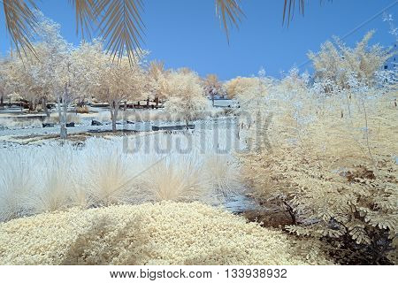 Infrared Image Of Trees And Shrubs In False Color
