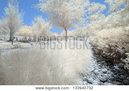 Infrared Image Of Trees And Shrubs In False Color