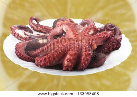 two boiled octopus on a white plate
