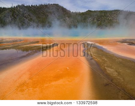 Summer run off from the Grand Prismatic Spring in Yellowstone National Park the largest hot spring in the USA. The colors of the microbial "mats" depend on the ratio of chlorophyll to carotenoids and on the temperature of the water.