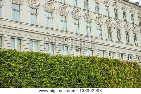 beautiful white building in Ljubljana over green natural fence