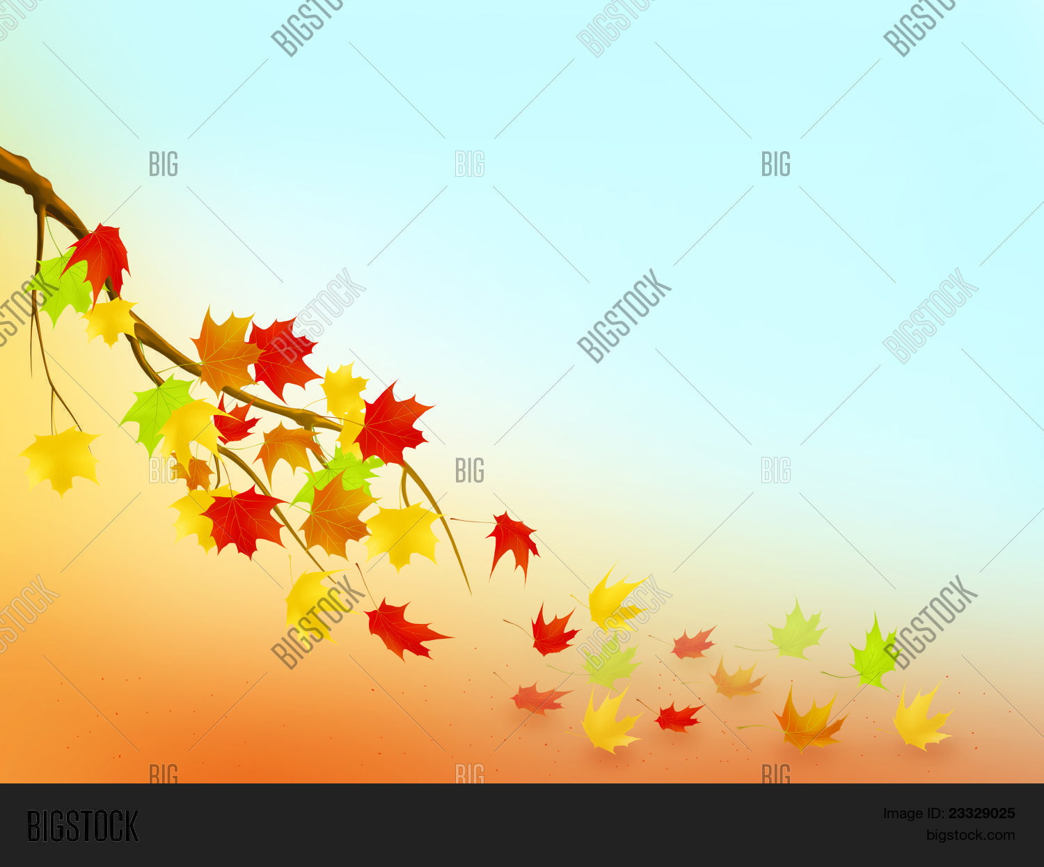 Image Preview