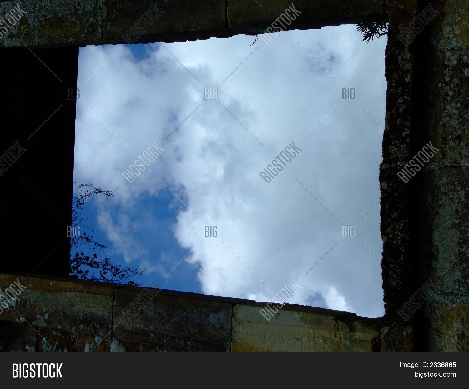 Image Preview