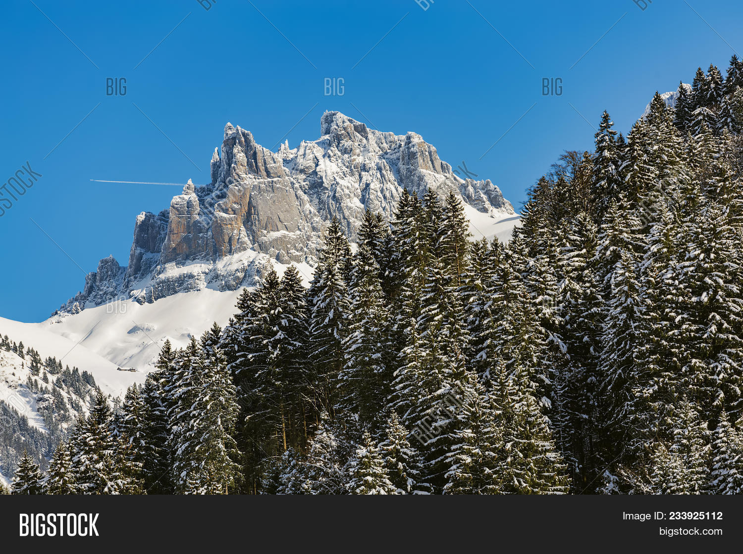 Image Preview