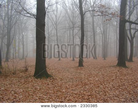 Herbst