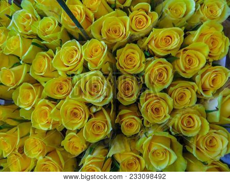 Street Flower Market. Bunches Of Bouquets Of Yellow Roses For Sale