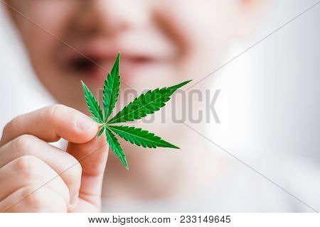 Smiling Kid Child Holding A Hemp Leaf. Concepts Of Using Marihuna For Medicinal Purposes For Childre