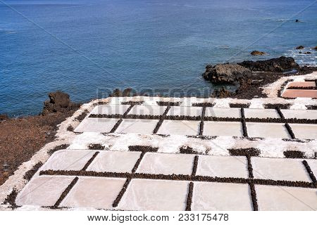 Picture Photo Of Salt Flats In The Canry Islands