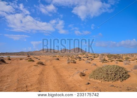 Spanish View Landscape In La Graciosa Lanzarote Tropical Volcanic Canary Islands Spain