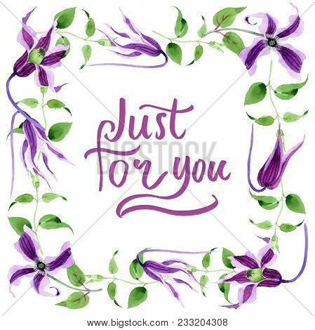 Wildflower Clematis Hanajima Flower Frame In A Watercolor Style. Full Name Of The Plant: Clematis Ha