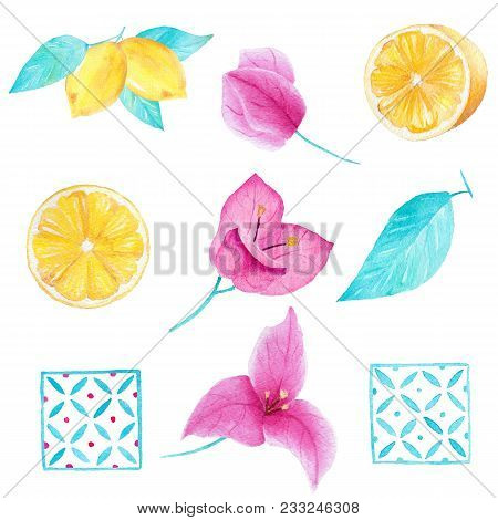 Watercolor Hand Painted Collection Of Lemon Fruit, Bouganvillea Flower, Leave And Square Mosaic. Can