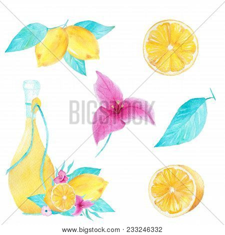 Hand Drawn Watercolor Set Of Lemon, Olive Oil, Leaf And Bouganvillea Flower On White Background. Can