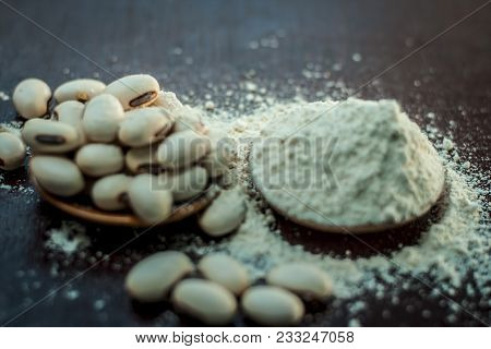 Ayurvedic Herb Kuanch,cowhage,mucuna Pruriens With Powder In A Brown Plate With Its Powder And Raw K