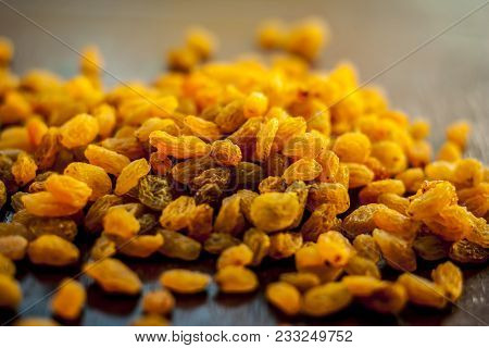 A Sweet Dried Fruit Golden Raisins Or Vitis Vinifera L. Var. Apyrena , Kishmish Or Zante Currant On 