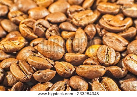 Coffe Beans Close Up
