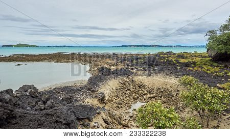 Views From The Coastal Track Close To The Rangitoto Wharf On Rangitoto Island New Zealand