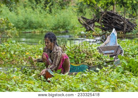 Tonle Sap , Cambodia - Oct 18 : Cambodian Woman In Tonle Sap Lake Cambodia On October 18 2017. Tonle