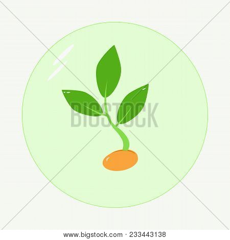 Planting Seed Sprout In Ground. Symbol Grow Sapling. Icon, Flat Isolated On White Background. Vector