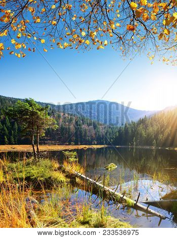 Moraine Lake Kleiner Arbersee In National Park Bavarian Forest. Autumn Landscape In Germany.