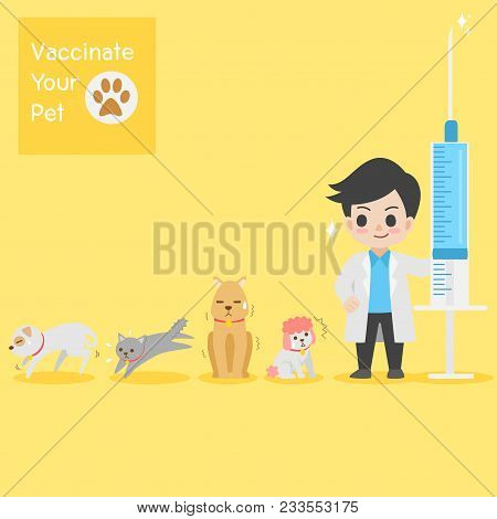 Frighten Cute Dogs Cat Doctor With Injection Needle Character For Vaccinate Pets On Background Vacci