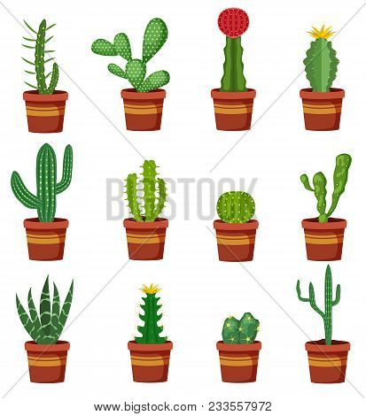 Cactus In Pots Isolated Icons On White Background. Set Of Houseplant Cactus For Interior Decoration 