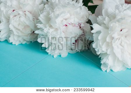 Fresh Peony White Flowers With Paper Frame Close Up, Copy Space On Blue Background Forinvitation, Fl