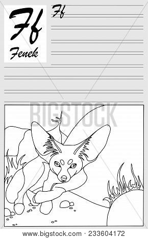 Fenek, English Alphabet, Coloring Outline, Write And Paint. Set Of Cards, Illustration And Text.