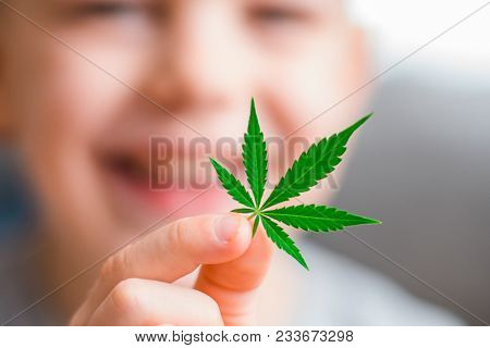 Smiling Kid Child Holding A Hemp Leaf. Concepts Of Using Marihuna For Medicinal Purposes For Childre