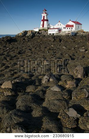 Exploring Head Harbor Lighthouse In Canada Involves Climbing Over Rocks Covered In Seaweed During Lo