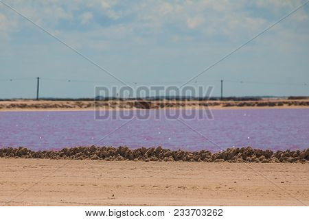 Pink Lake. Striking Red Pool Used In The Production Of Salt Near Rio Lagartos, Mexico, Yucatan.