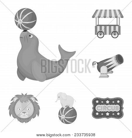 Circus And Attributes Monochrome Icons In Set Collection For Design. Circus Art Vector Symbol Stock 