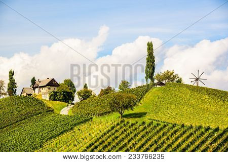 Austria Vineyards Leibnitz Area South Styria Travel Spot