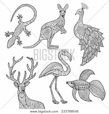 Vector Hand Drawn Illustrations Of Animals. Lizard, Kangaroo, Peacock, Deer, Flamingo, Betta Fish. A