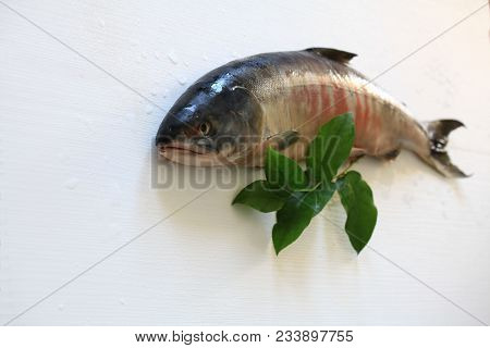 Keta Is The Fish Of The Salmon Family. This Is A Very Healthy Dietary Product.