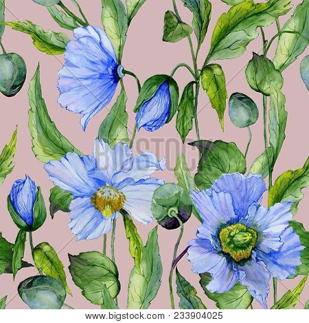 Beautiful Blue Poppy Flowers With Green Leaves On Gray Background. Seamless Floral Pattern. Watercol