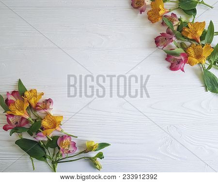 Flower Alstroemeria On White Wooden Astromeriya, Bouquet, Alstroemeria Flower, Decor