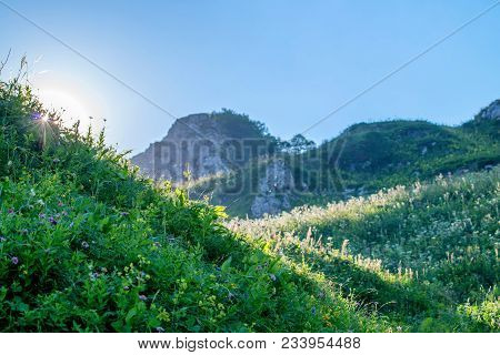 Subalpine Meadows With Flowers, Forest And Scenic Cloudscape